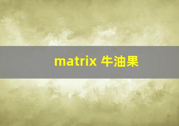 matrix 牛油果